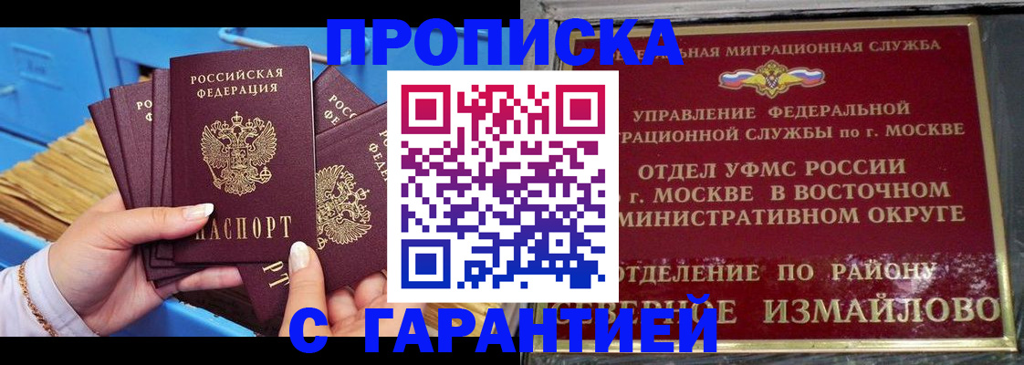 прописка поиск в Павловске